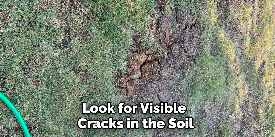 Look for Visible Cracks in the Soil