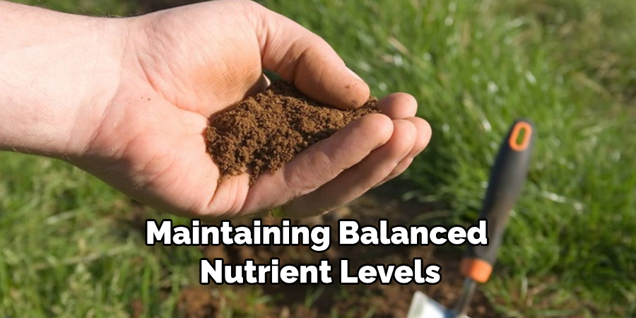 Maintaining Balanced Nutrient Levels