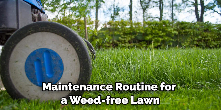 Maintenance Routine for
 a Weed-free Lawn