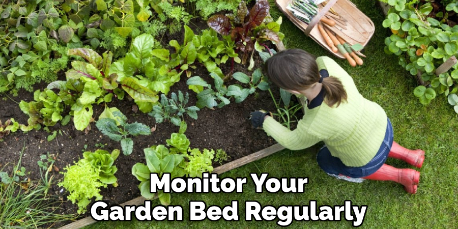 Monitor Your Garden Bed Regularly