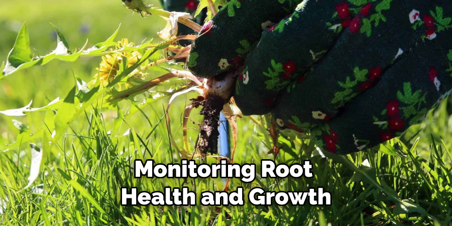 Monitoring Root Health and Growth