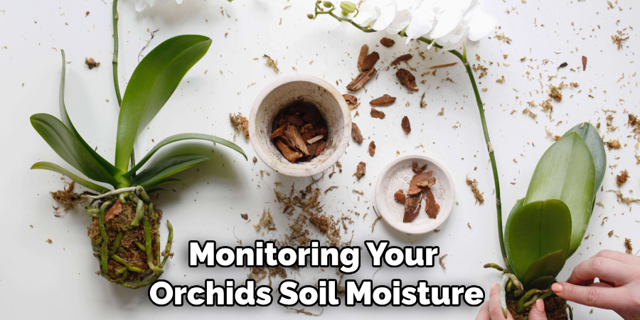 Monitoring Your Orchids Soil Moisture