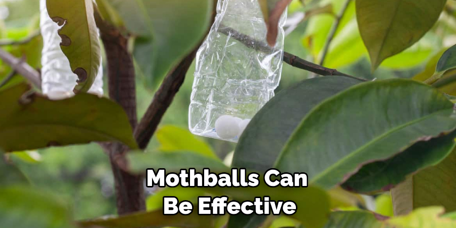 Mothballs Can Be Effective