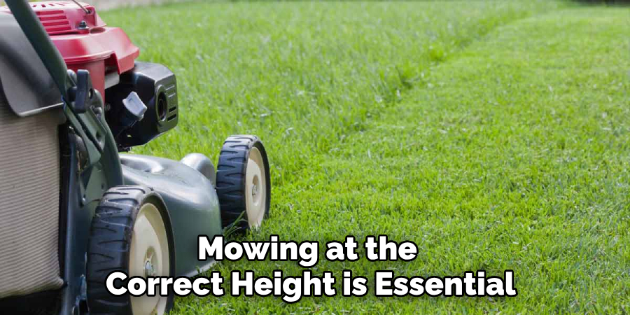 Mowing at the Correct Height is Essential