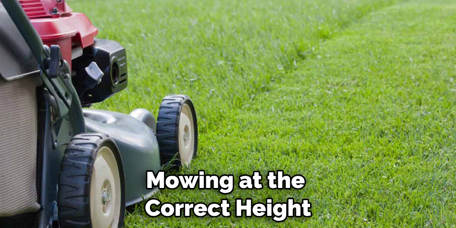 Mowing at the Correct Height