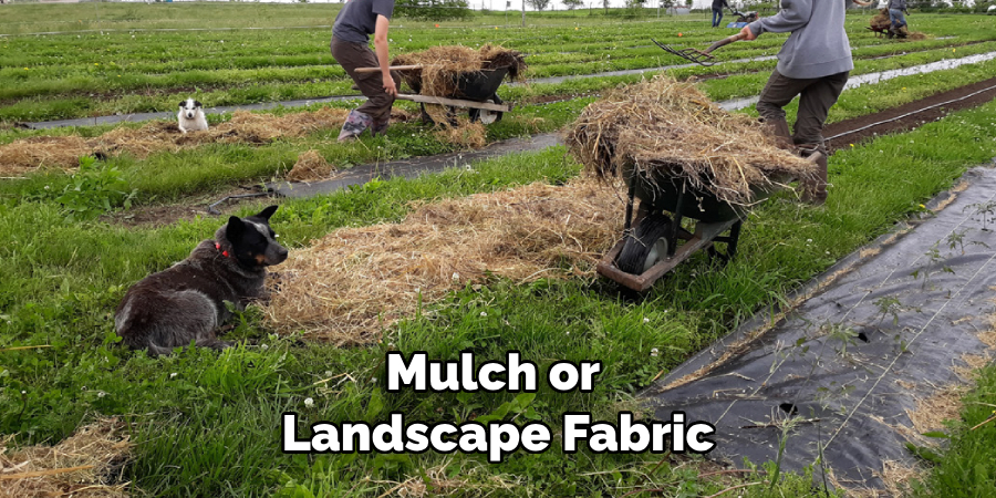 Mulch or Landscape Fabric