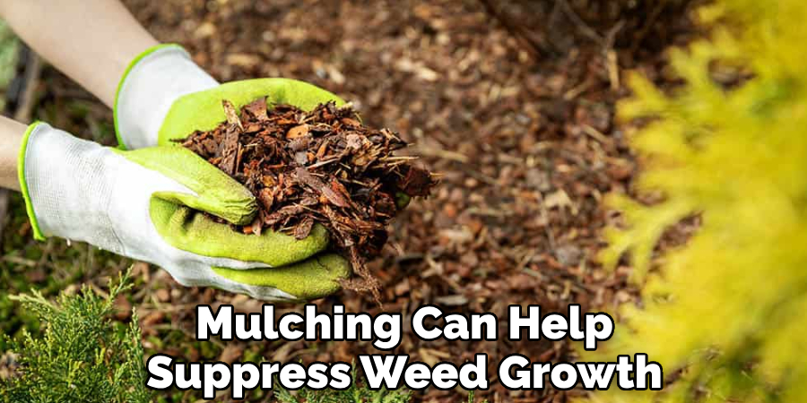 Mulching Can Help Suppress Weed Growth