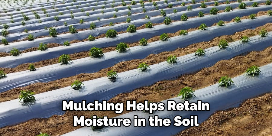 Mulching Helps Retain Moisture in the Soil