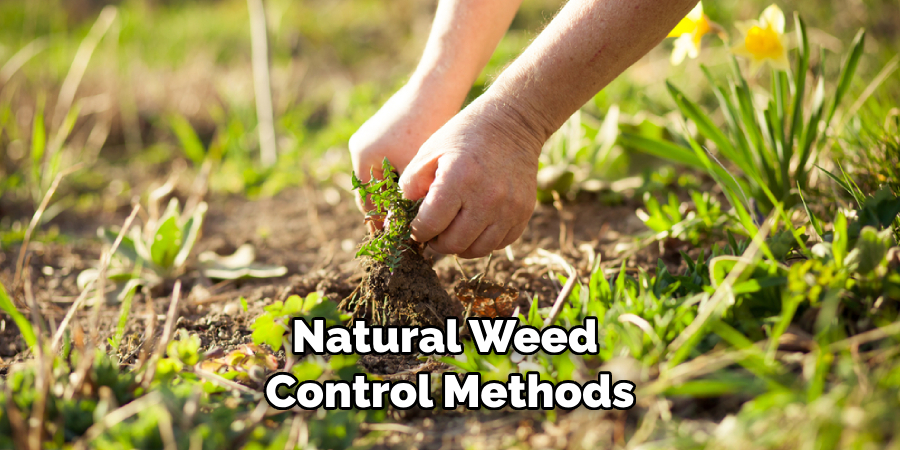 Natural Weed Control Methods