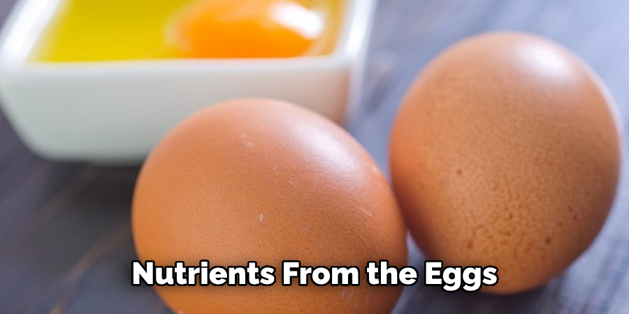  Nutrients From the Eggs 