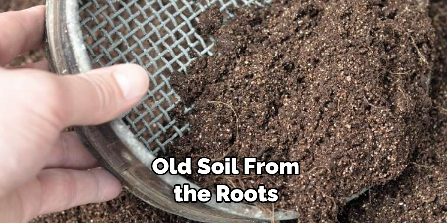  Old Soil From the Roots