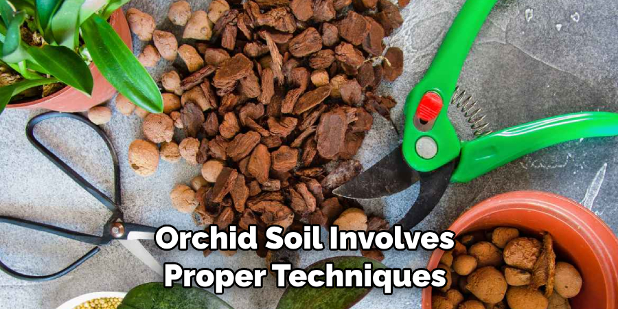 Orchid Soil Involves Proper Techniques