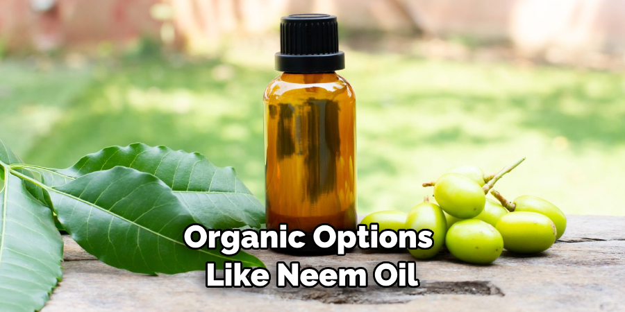 Organic Options Like Neem Oil
