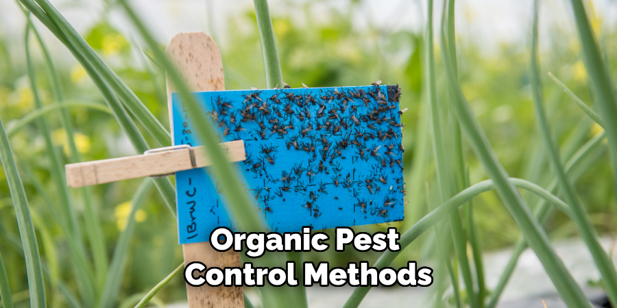 Organic Pest Control Methods