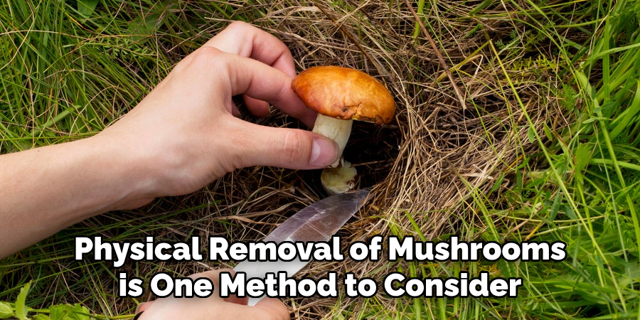 Physical Removal of Mushrooms is One Method to Consider