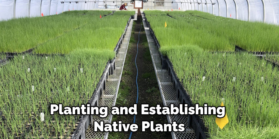 Planting and Establishing Native Plants