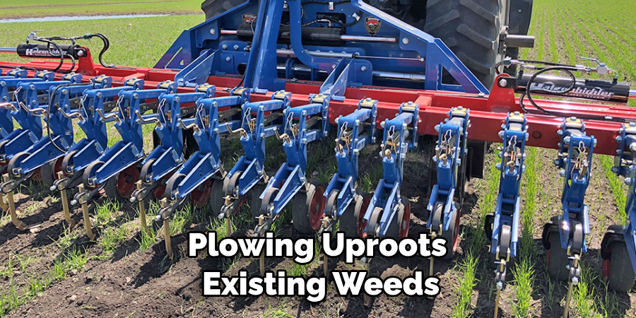 Plowing Uproots Existing Weeds
