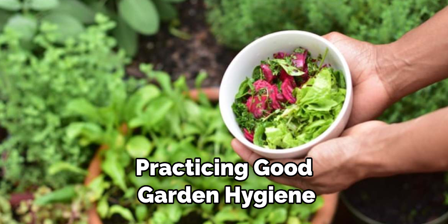 Practicing Good Garden Hygiene