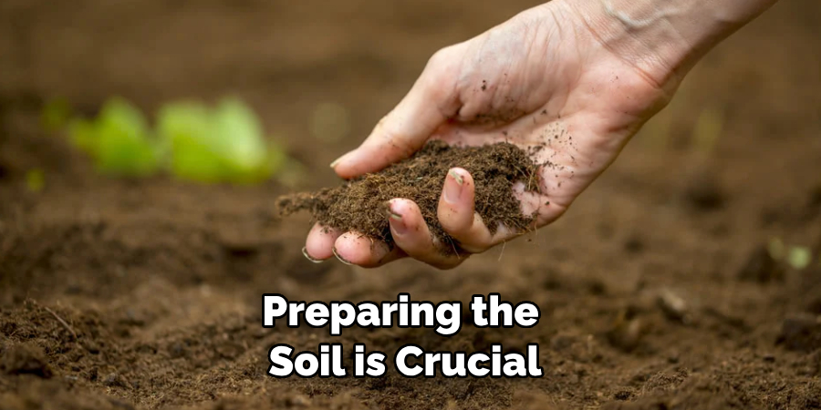 Preparing the Soil is Crucial