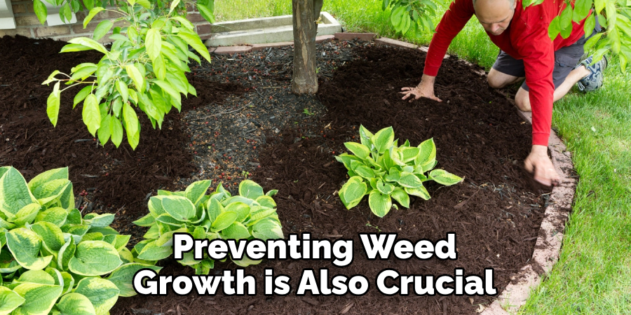 Preventing Weed Growth is Also Crucial