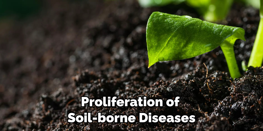 Proliferation of Soil-borne Diseases
