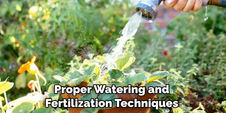 Proper Watering and Fertilization Techniques 