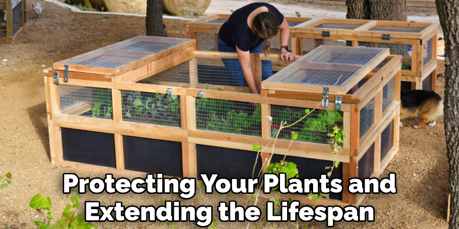 Protecting Your Plants and Extending the Lifespan
