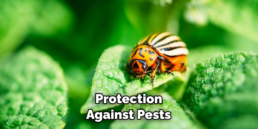 Protection Against Pests