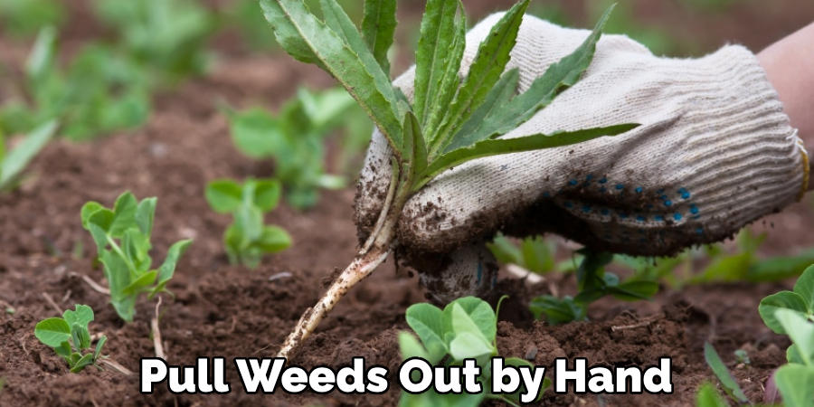Pull Weeds Out by Hand