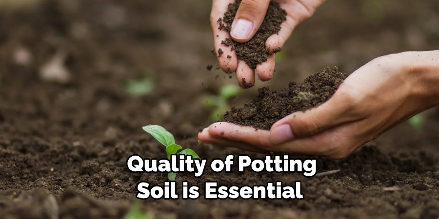  Quality of Potting Soil is Essential 