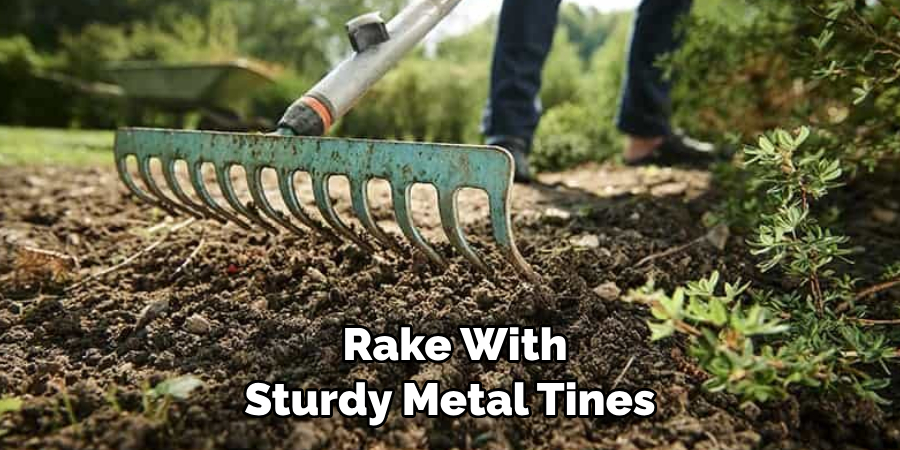 Rake With Sturdy Metal Tines 