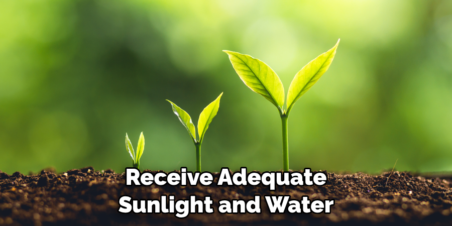  Receive Adequate Sunlight and Water