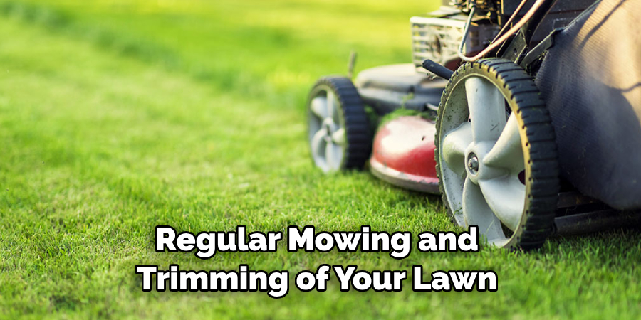 Regular Mowing and Trimming of Your Lawn 