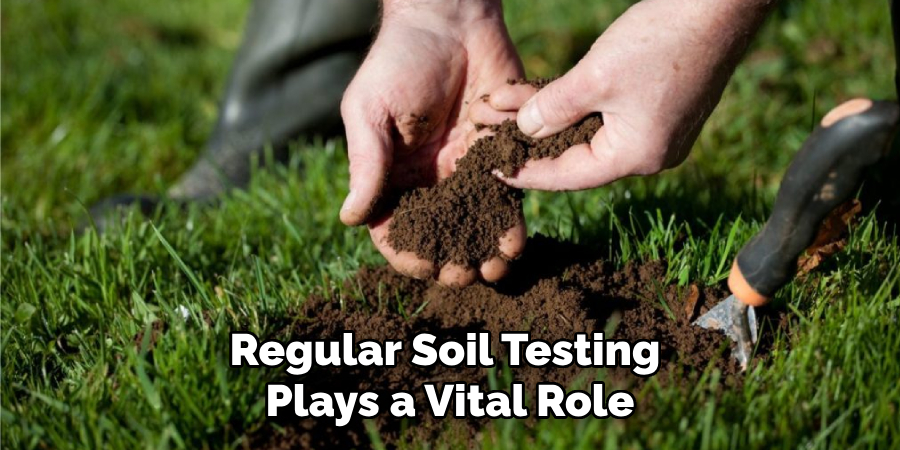 Regular Soil Testing Plays a Vital Role