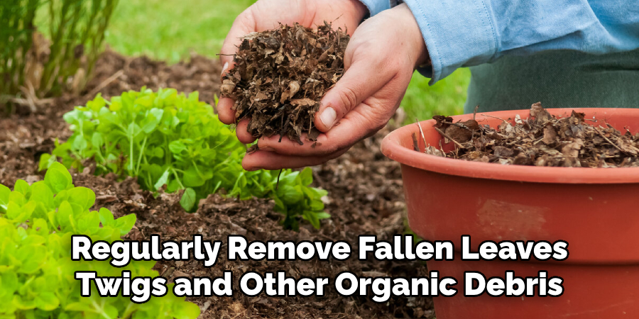 Regularly Remove Fallen Leaves Twigs and Other Organic Debris