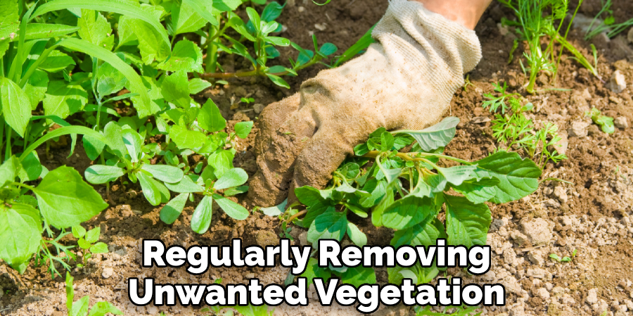 Regularly Removing Unwanted Vegetation