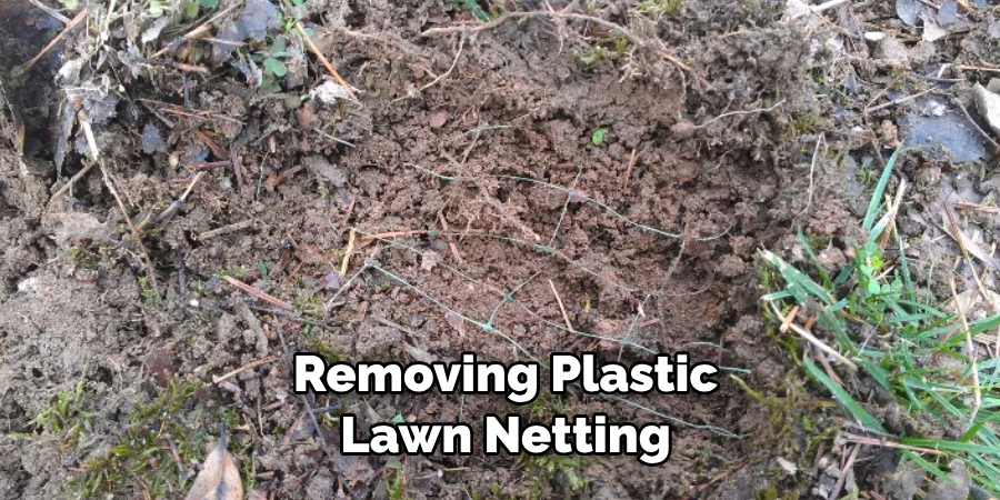  Removing Plastic Lawn Netting