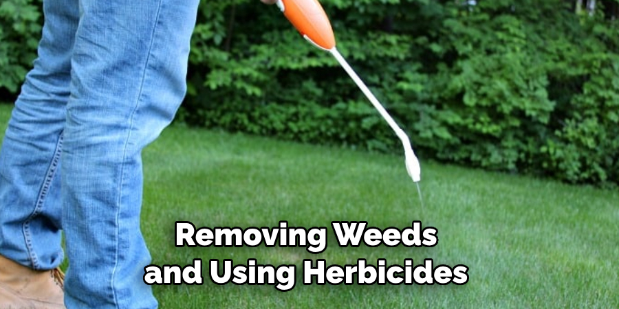 Removing Weeds and Using Herbicides 