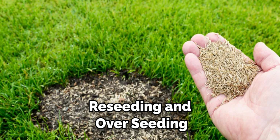 Reseeding and Over Seeding