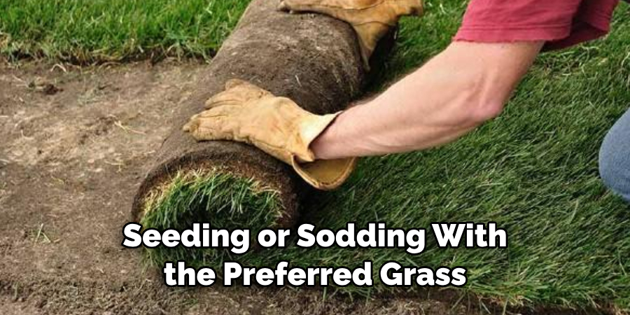 Seeding or Sodding With the Preferred Grass 