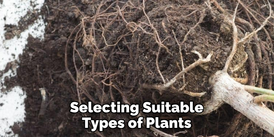 Selecting Suitable Types of Plants
