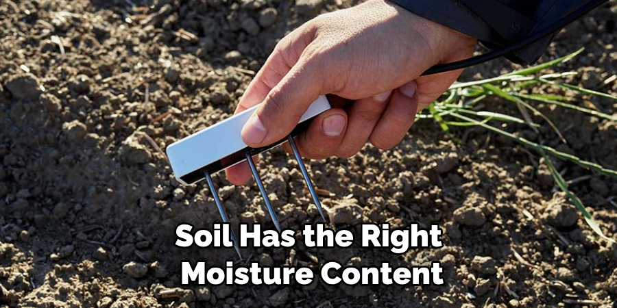 Soil Has the Right Moisture Content