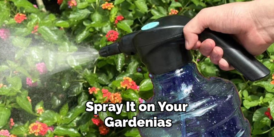 Spray It on Your Gardenias