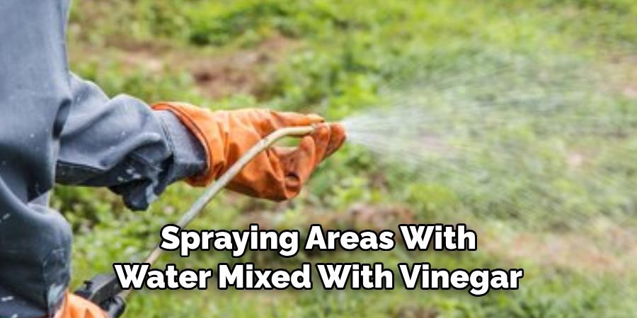  Spraying Areas With Water Mixed With Vinegar