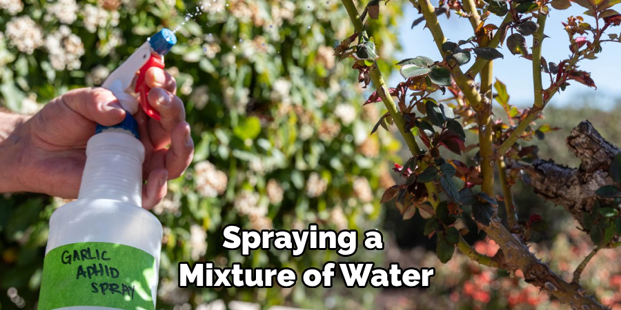 Spraying a Mixture of Water