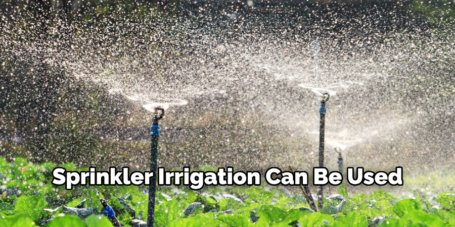 Sprinkler Irrigation Can Be Used