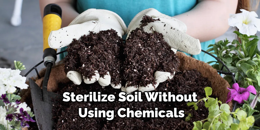 Sterilize Soil Without Using Chemicals