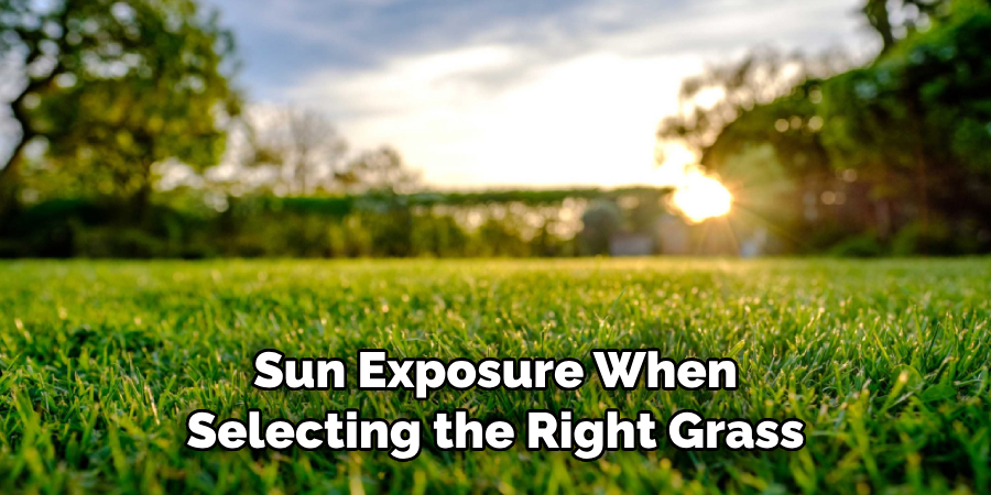  Sun Exposure When Selecting the Right Grass