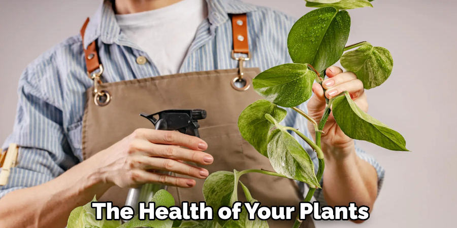 The Health of Your Plants