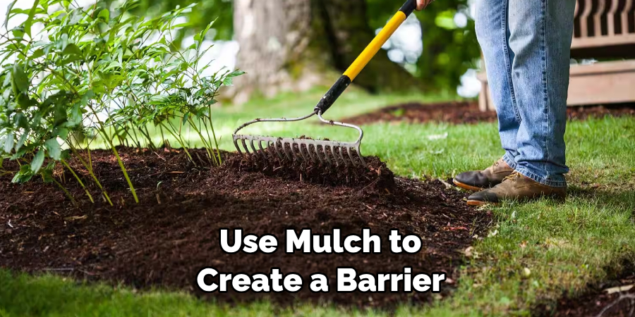 Use Mulch to Create a Barrier 